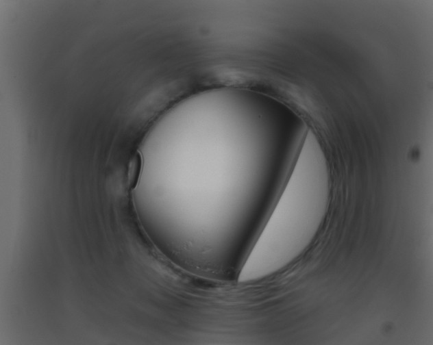 X0000093380317200710111352
