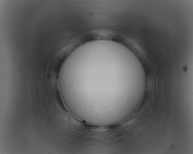 X0000093380318200710111352