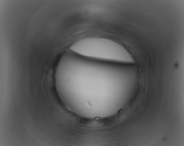 X0000093380319200710111352