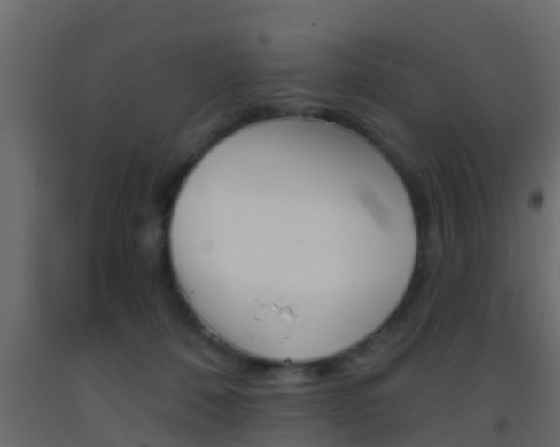X0000093380320200710111352