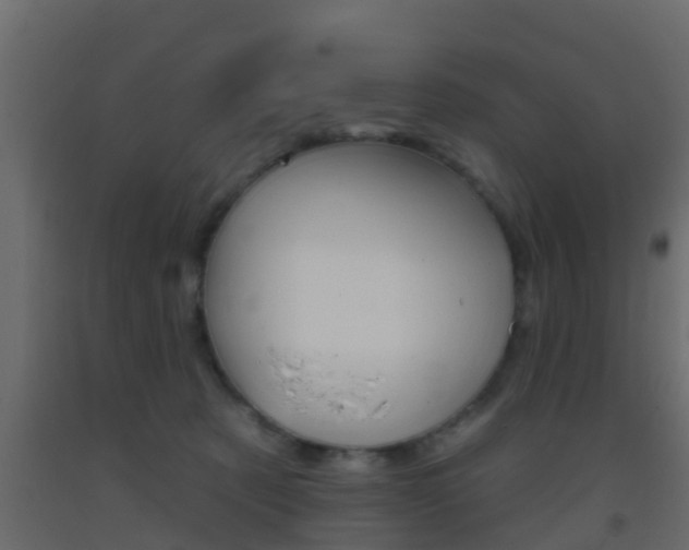 X0000093380321200710111352