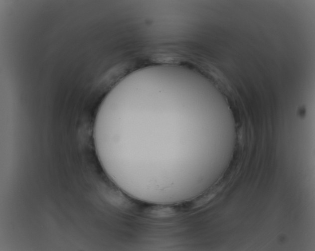 X0000093380322200710111352