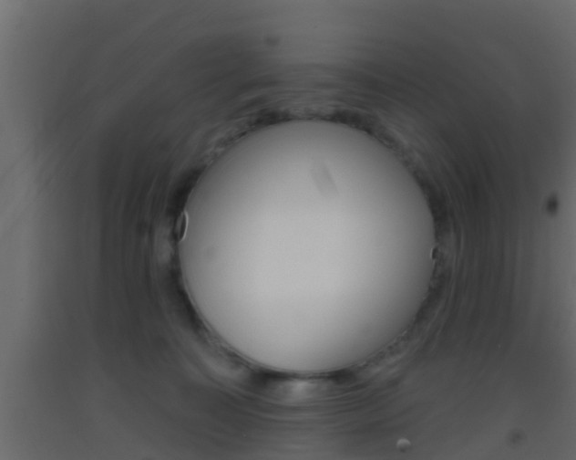 X0000093380323200710111352