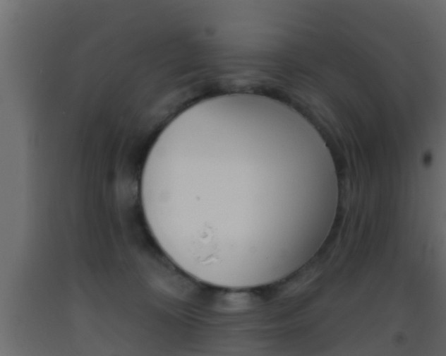 X0000093380324200710111352