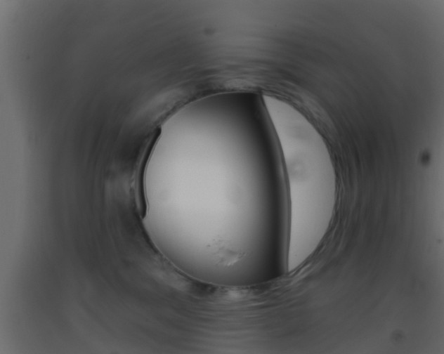 X0000093380329200710111352