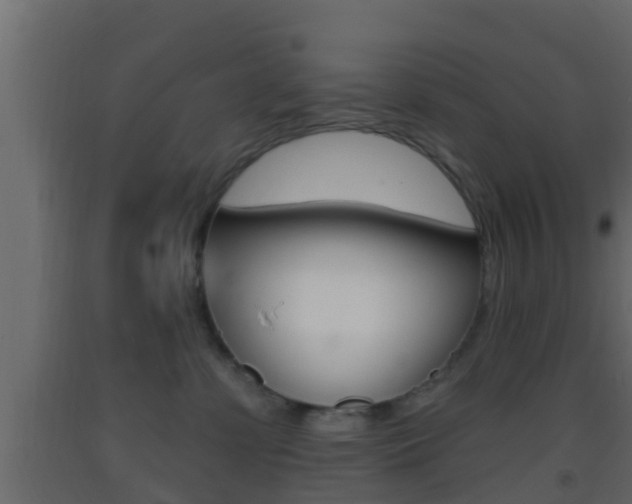 X0000093380331200710111352