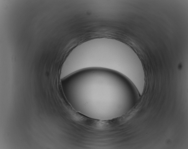 X0000093380333200710111352