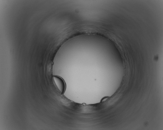 X0000093380336200710111352