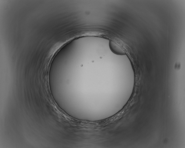 X0000093380337200710111352