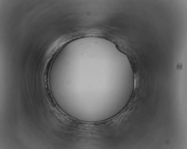 X0000093380339200710111352