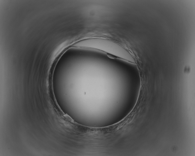 X0000093380340200710111352