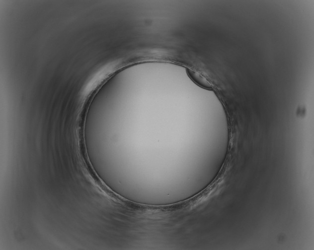 X0000093380341200710111352