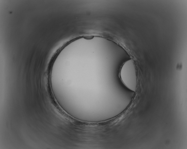 X0000093380342200710111352