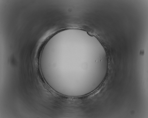 X0000093380343200710111352