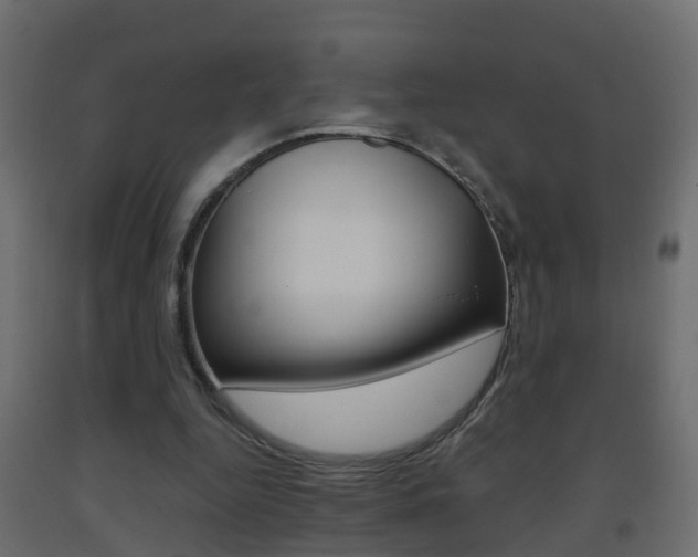 X0000093380344200710111352