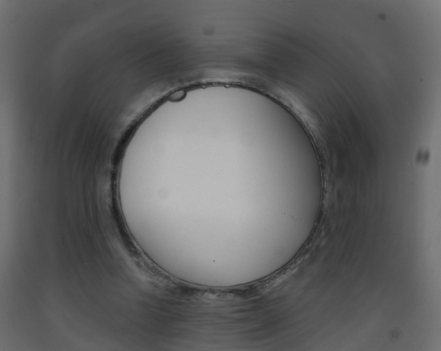 X0000093380346200710111352
