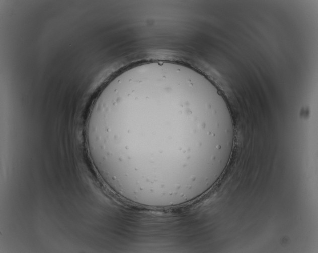 X0000093380347200710111352