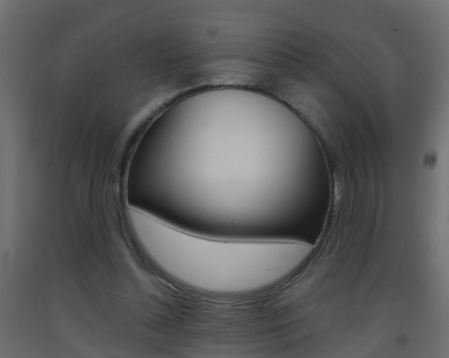 X0000093380348200710111352