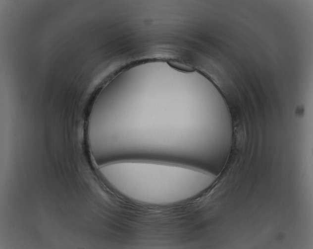 X0000093380350200710111352