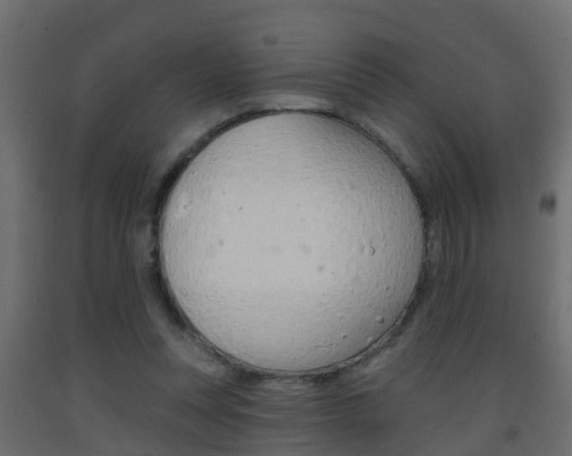 X0000093380351200710111352