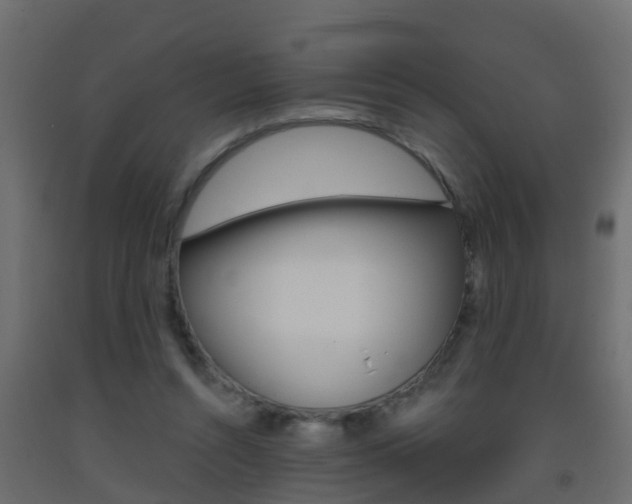 X0000093380352200710111352