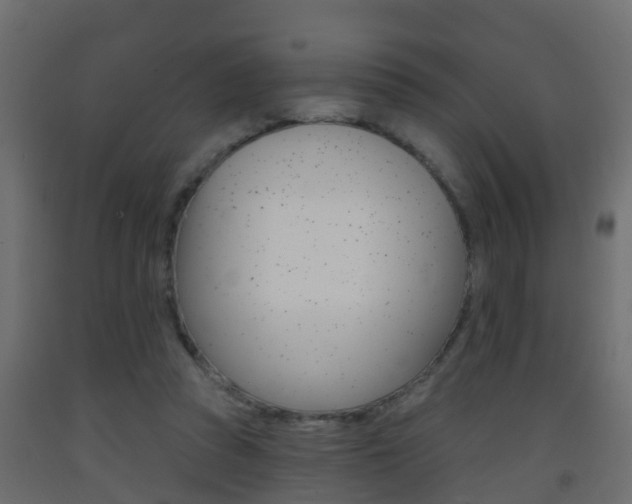 X0000093380353200710111352