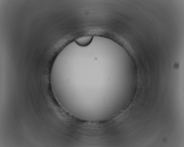 X0000093380354200710111352