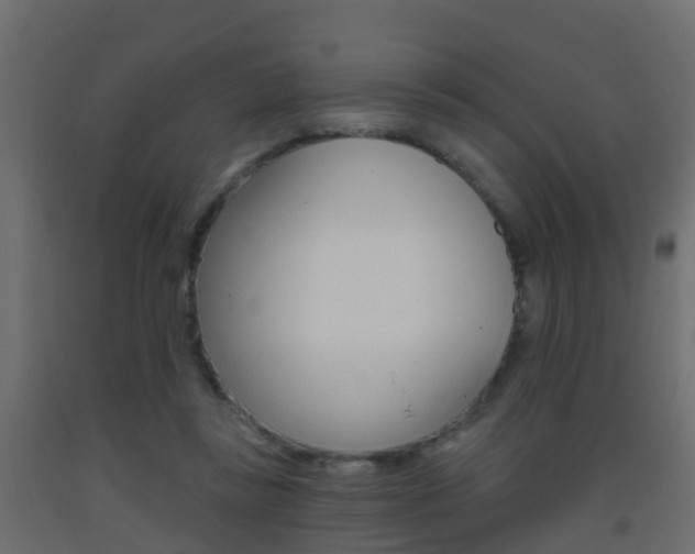 X0000093380355200710111352