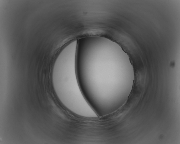 X0000093380356200710111352