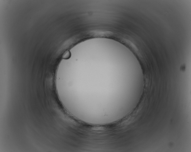 X0000093380357200710111352