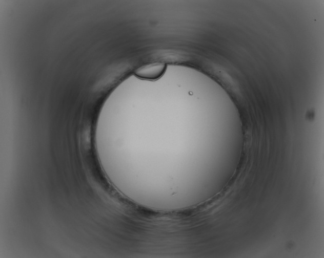 X0000093380358200710111352