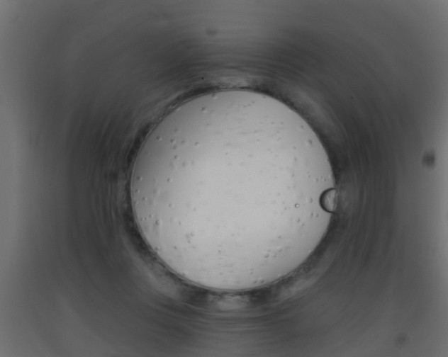 X0000093380359200710111352