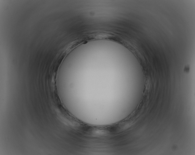 X0000093380360200710111352