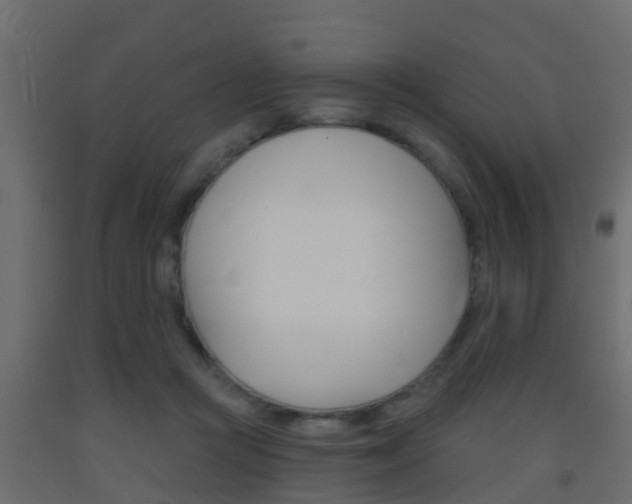 X0000093380361200710111352