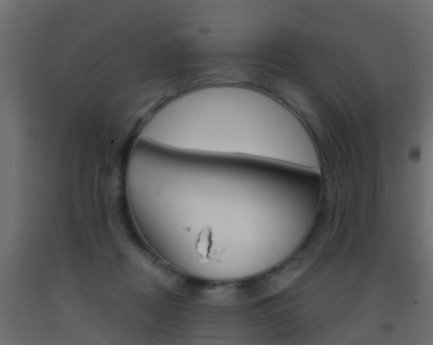 X0000093380362200710111352