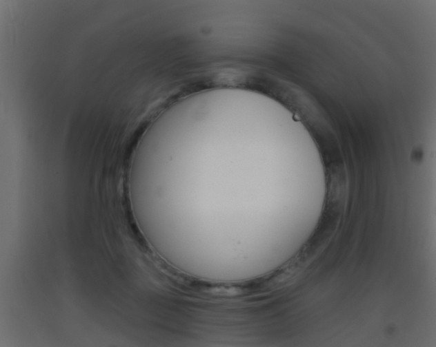 X0000093380363200710111352