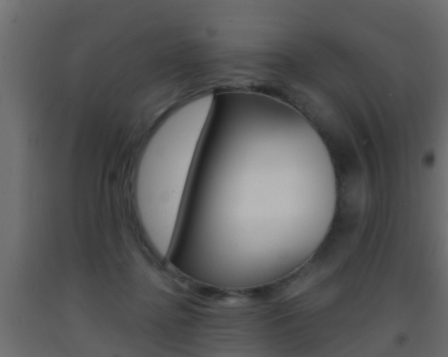 X0000093380364200710111352
