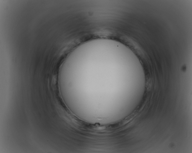 X0000093380365200710111352