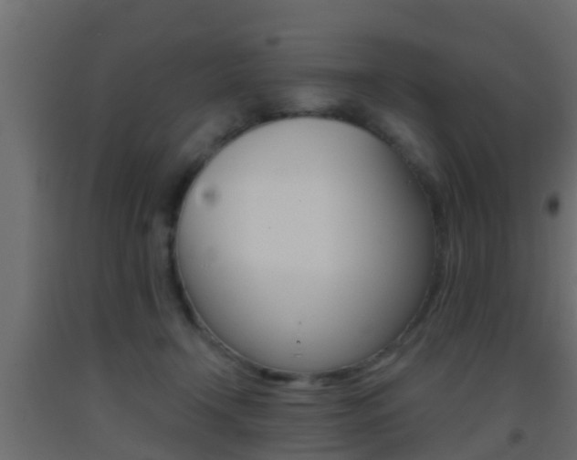 X0000093380366200710111352