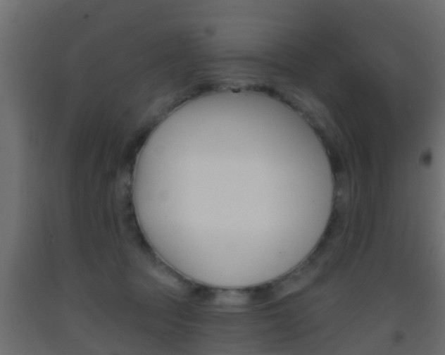 X0000093380369200710111352