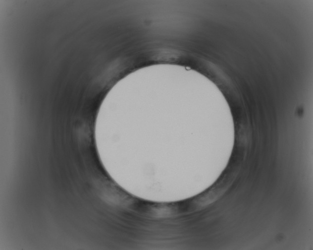 X0000093380370200710111352