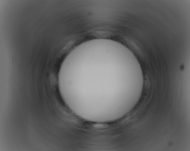 X0000093380371200710111352