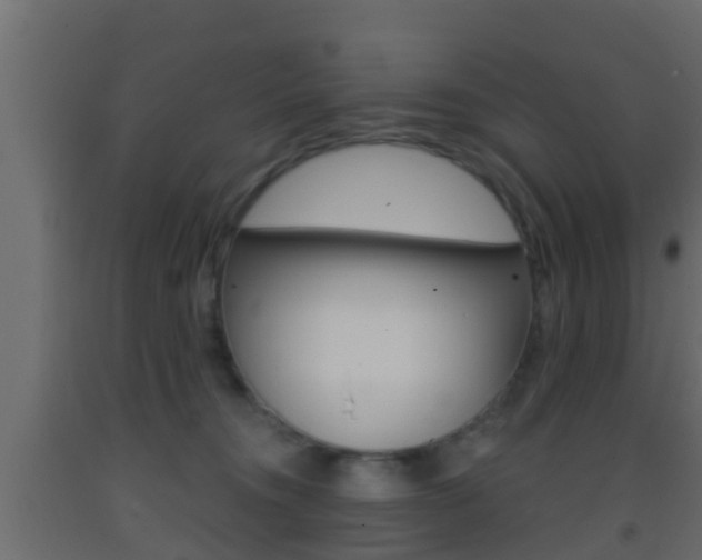X0000093380372200710111352