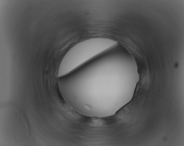 X0000093380376200710111352