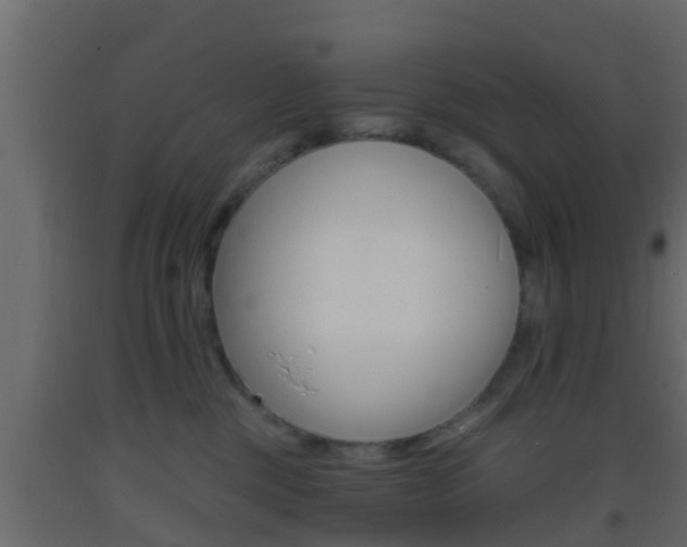 X0000093380377200710111352