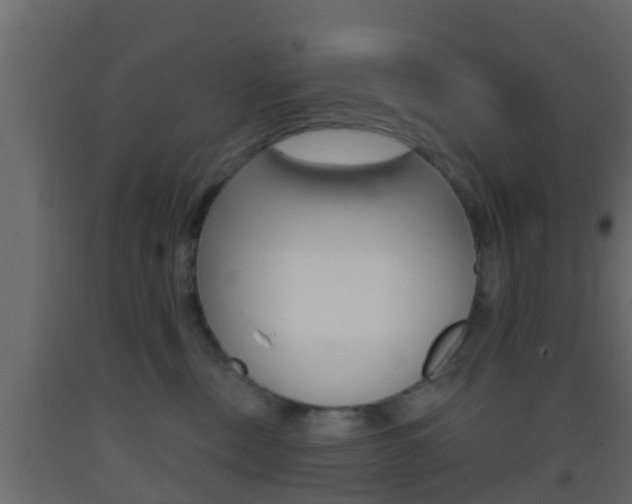 X0000093380378200710111352
