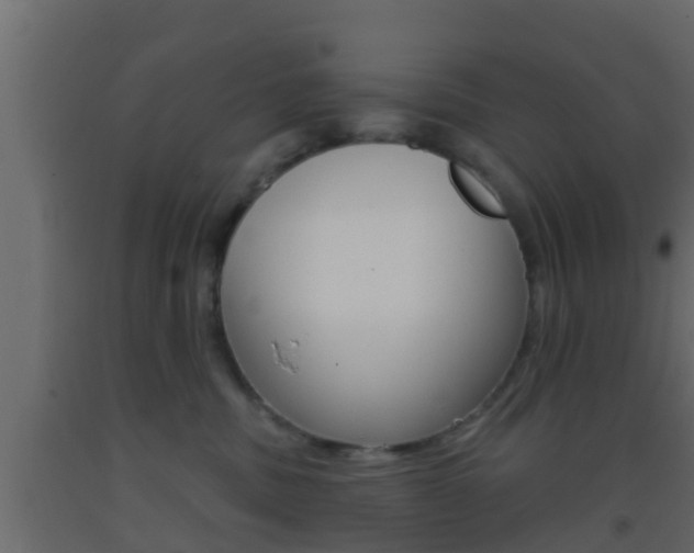 X0000093380379200710111352