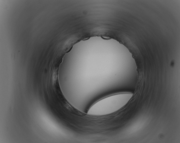 X0000093380383200710111352