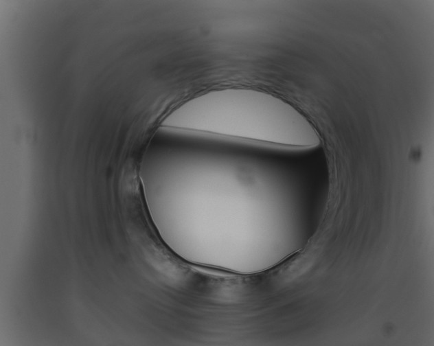 X0000093380384200710111352