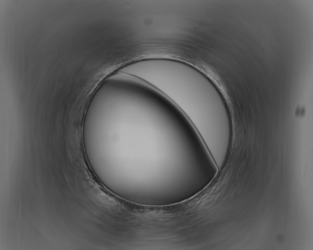 X0000093380385200710111352